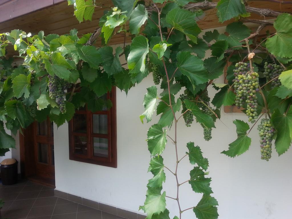 Lugas Vendeghaz Hotel Felsőtold Buitenkant foto